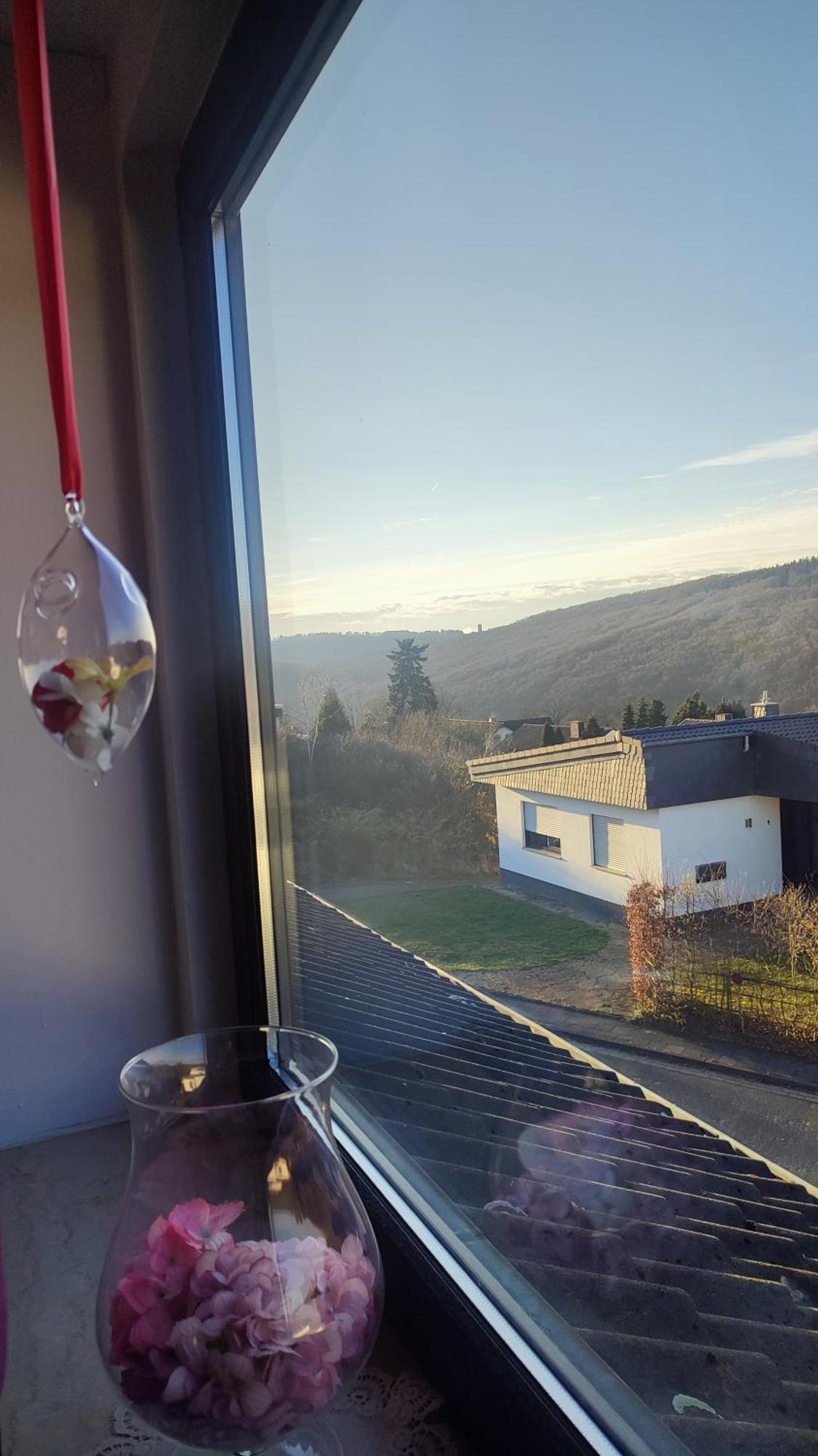 Kermeterblick Apartment Schleiden Exterior photo